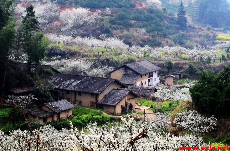 2015韶关乐昌九峰广东最美乡村2天花海休闲摄影之旅深圳东莞召集