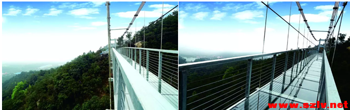 image009.png